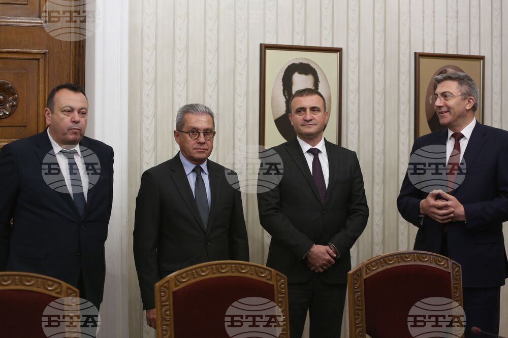 Румен Радев - ДПС - консултации