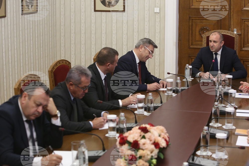MRF Leader Karadayi Speaks after Consultations with President