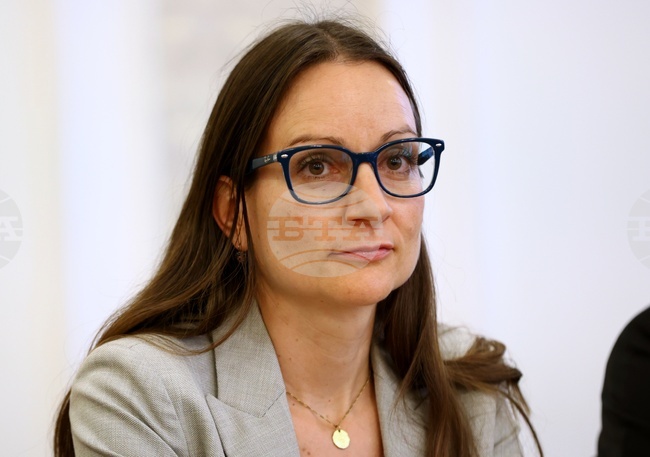 Ирина Щонова е предложена за служебен министър на икономиката и индустрията в кабинета "Гюров" 