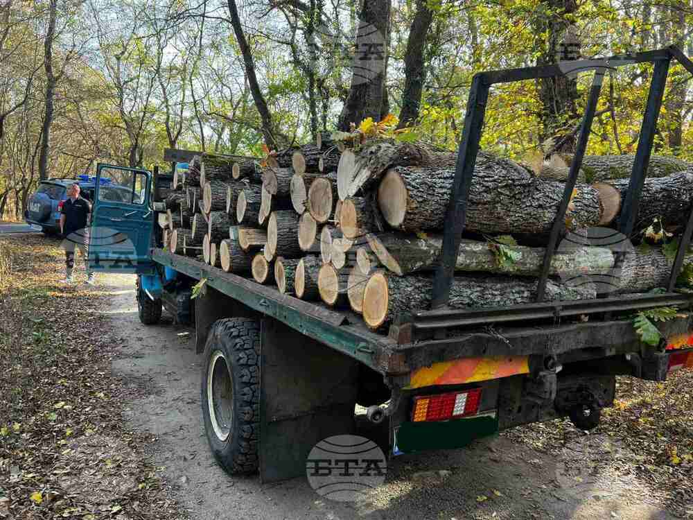 Executive Forest Agency Reports Enhanced Control, Fines in 2022