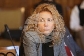 Народно събрание - Комисия по политиките за българите извън страната - заседание