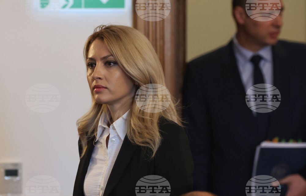 Парламент - Комисия по правни въпроси - заседание - Рая Назарян