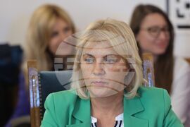 Парламент - Комисия по правни въпроси - заседание - Мая Димитрова