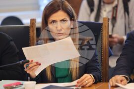 Парламент - Комисия по правни въпроси - заседание - Ертен Анисова