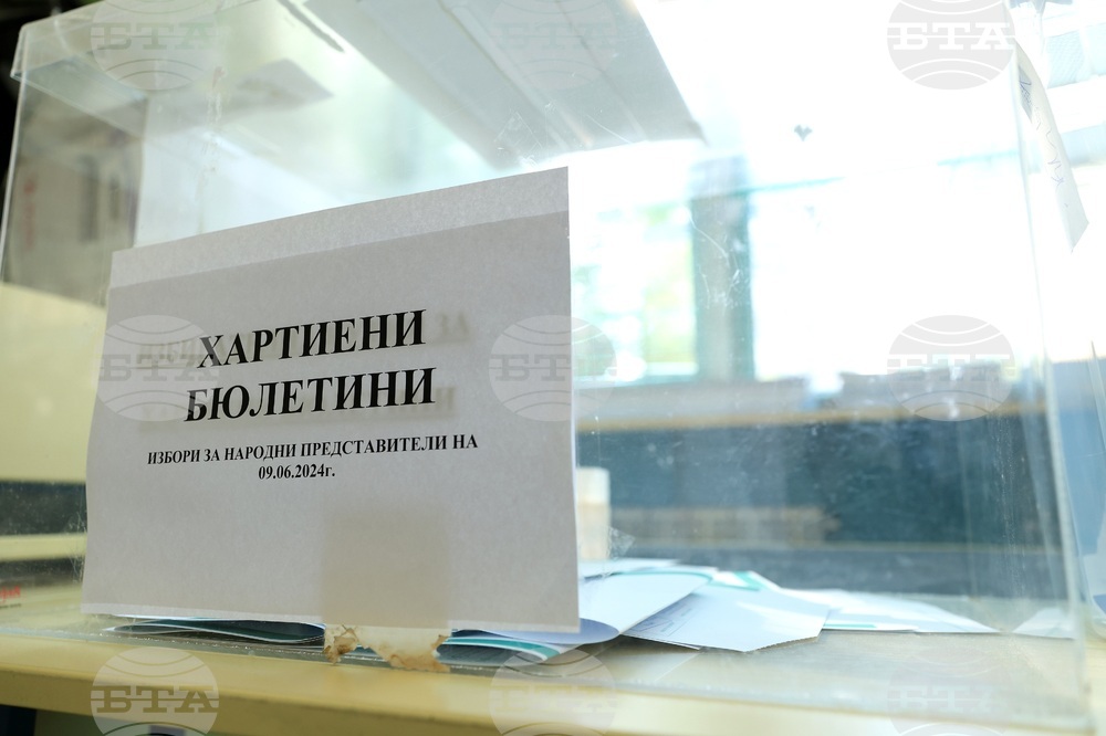 Парламентарни и евроизбори - гласуване