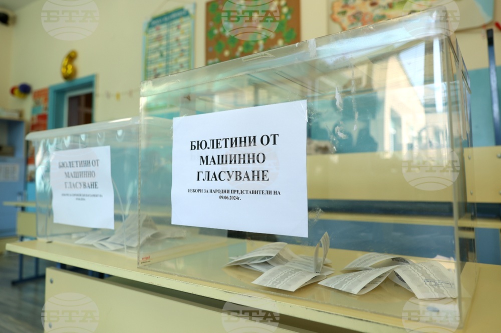 Парламентарни и евроизбори - гласуване