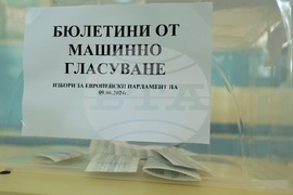 Парламентарни и евроизбори - гласуване