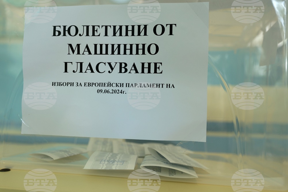 Парламентарни и евроизбори - гласуване