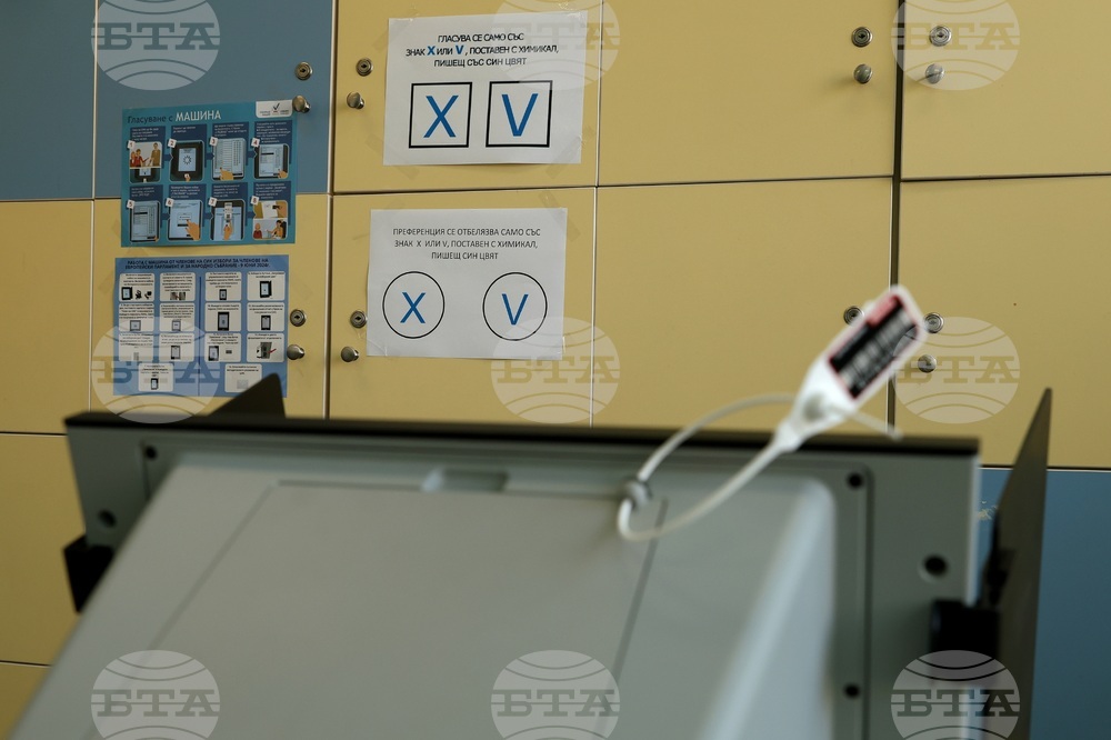 Парламентарни и евроизбори - гласуване