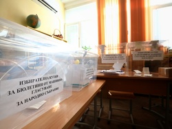 Парламентарни и евроизбори - гласуване