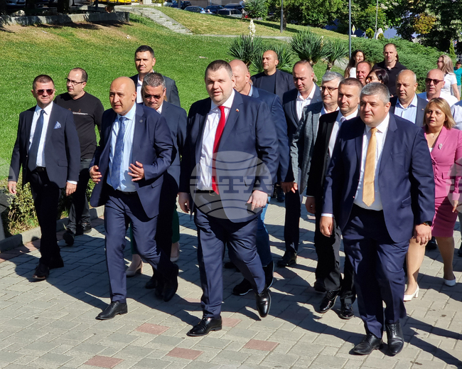 Кърджали - Парламентарни и евроизбори - Делян Пеевски - гласуване