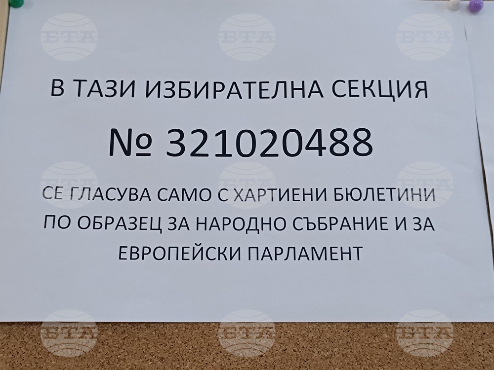 Румъния - Букурещ - българи - избори - гласуване