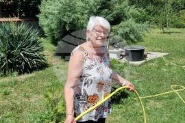 Село Добрич - Инге Моргенталер - избори