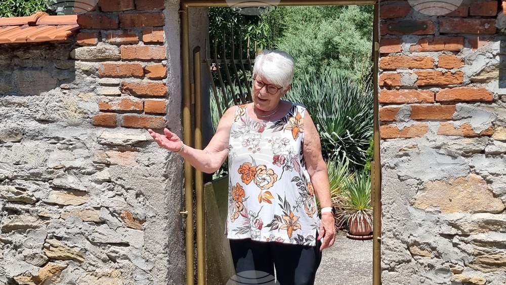 Село Добрич - Инге Моргенталер - избори