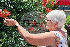 Село Добрич - Инге Моргенталер - избори