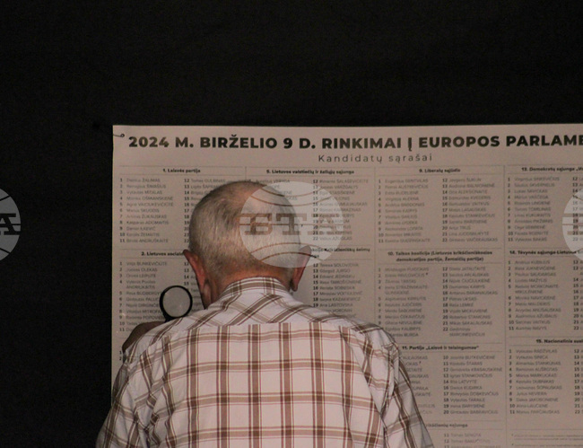 Литва - избори - гласуване