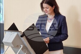 Видин - Парламентарни и евроизбори - Росица Кирова - гласуване