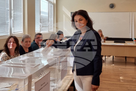 Видин - Парламентарни и евроизбори - Росица Кирова - гласуване
