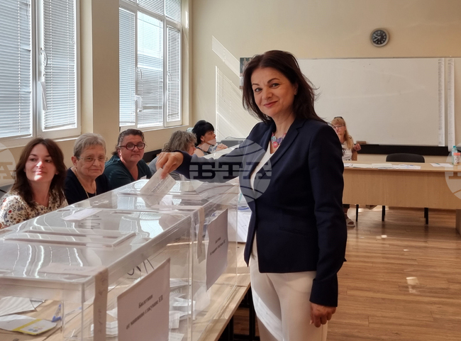 Видин - Парламентарни и евроизбори - Росица Кирова - гласуване