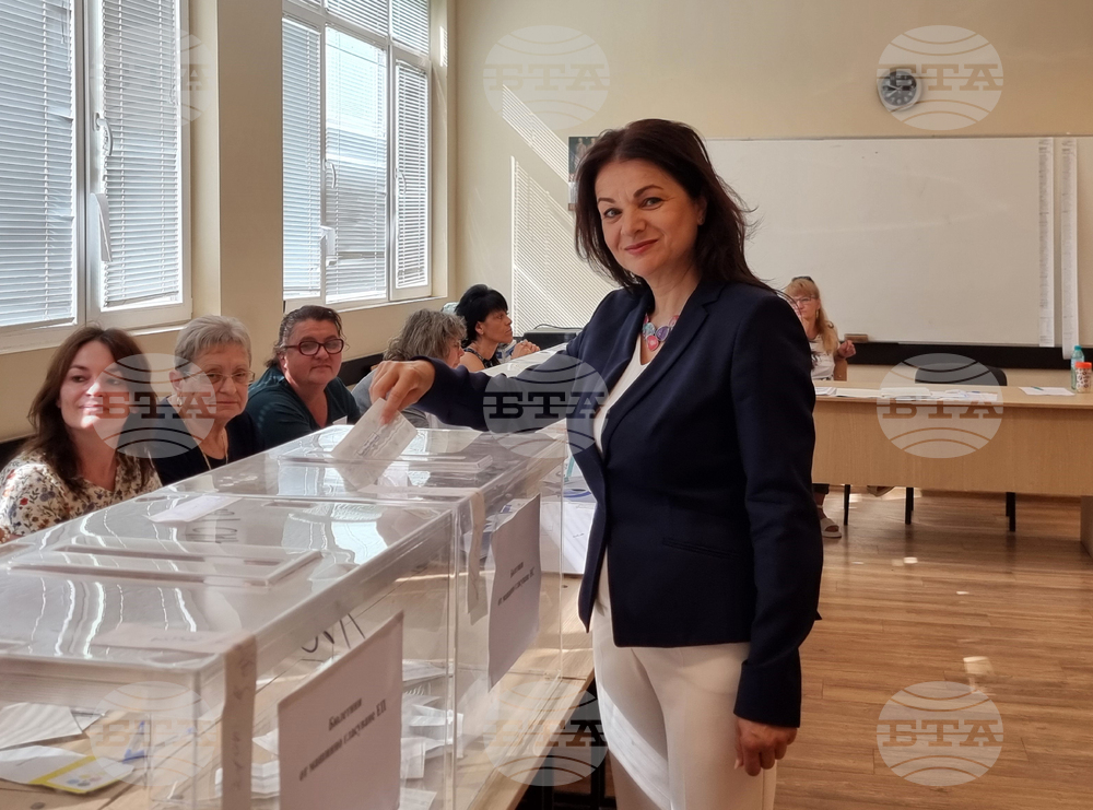 Видин - Парламентарни и евроизбори - Росица Кирова - гласуване