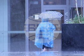 Литва - избори - гласуване