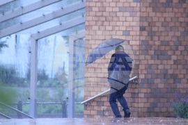 Литва - избори - гласуване