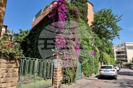 Италия - Рим - избори за Народно събрание и за Европейски парламент - гласуване на българи