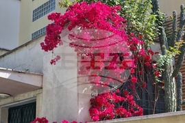 Италия - Рим - избори за Народно събрание и за Европейски парламент - гласуване на българи