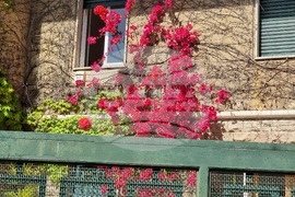 Италия - Рим - избори за Народно събрание и за Европейски парламент - гласуване на българи