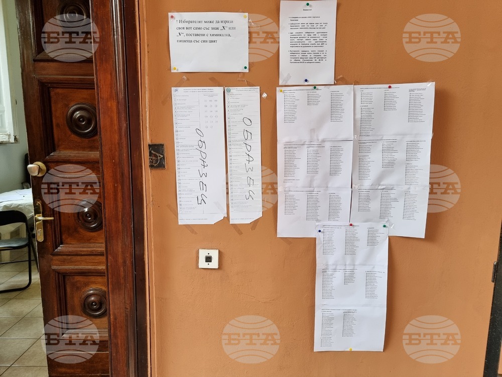 Италия - Рим - избори за Народно събрание и за Европейски парламент - гласуване на българи