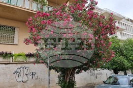 Италия - Рим - избори за Народно събрание и за Европейски парламент - гласуване на българи