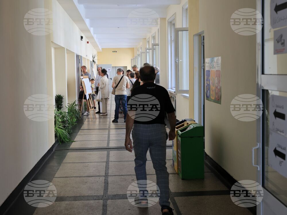 Избори за Европейски парламент и Народно събрание - гласуване