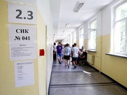 Избори за Европейски парламент и Народно събрание - гласуване
