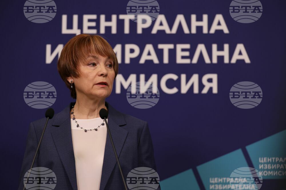 Voter Turnout at 4 PM: 20.44% for National Assembly, 20.89% for European Parliament