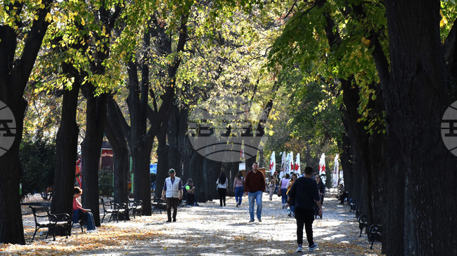 Община Видин организира засаждане на нови дървета в Крайдунавския парк