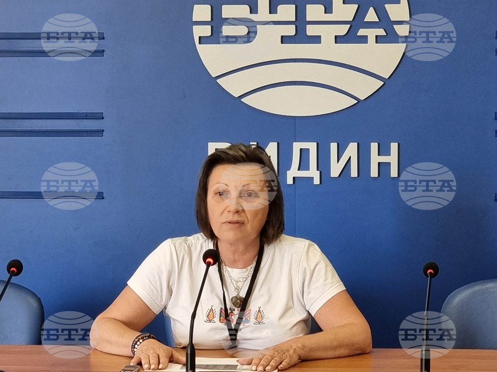 Над 17 хил. са гласували в област Видин към 11:00 часа