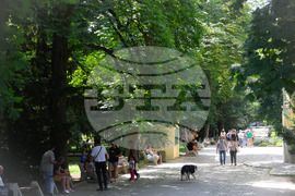 Ежедневие - летни жеги - уикенд