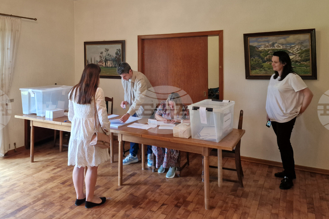 Дания - Копенхаген - избори за Народно събрание и за Европейски парламент - гласуване на българи