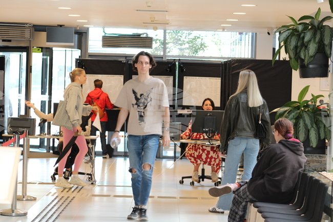 Литва - Европейски избори - активност