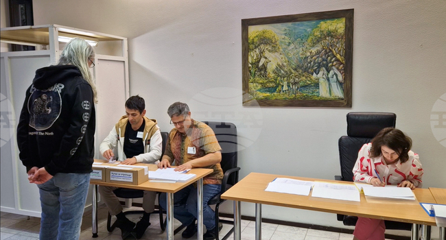 Финландия - парламентарни и европейски избори - гласуване