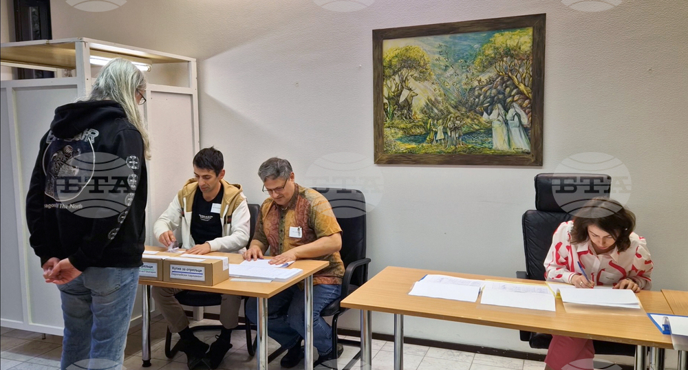 Финландия - парламентарни и европейски избори - гласуване