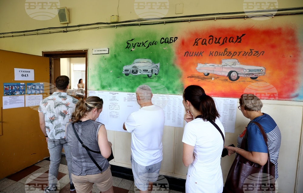 Избори за Европейски парламент и Народно събрание - гласуване