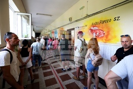 Избори за Европейски парламент и Народно събрание - гласуване