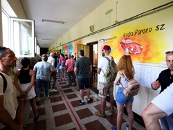 Избори за Европейски парламент и Народно събрание - гласуване