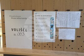 Словения - Любляна - избори за Европейски парламент - референдуми - гласуване