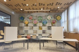 Словения - Любляна - избори за Европейски парламент - референдуми - гласуване