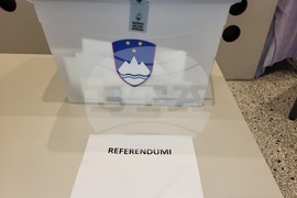 Словения - Любляна - избори за Европейски парламент - референдуми - гласуване