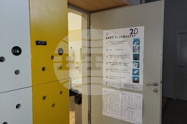 Словения - Любляна - избори за Европейски парламент - референдуми - гласуване