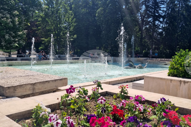 Близо 30 са свободните работни места за хора с висше образование, обявени в бюрата по труда в Търговищко