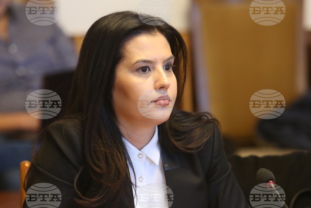 Парламент - Комисия по въпросите на Европейския съюз - заседание - Десислава Трифонова